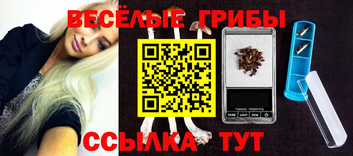 Псилоцибиновые грибы прущие грибы Набережные Челны